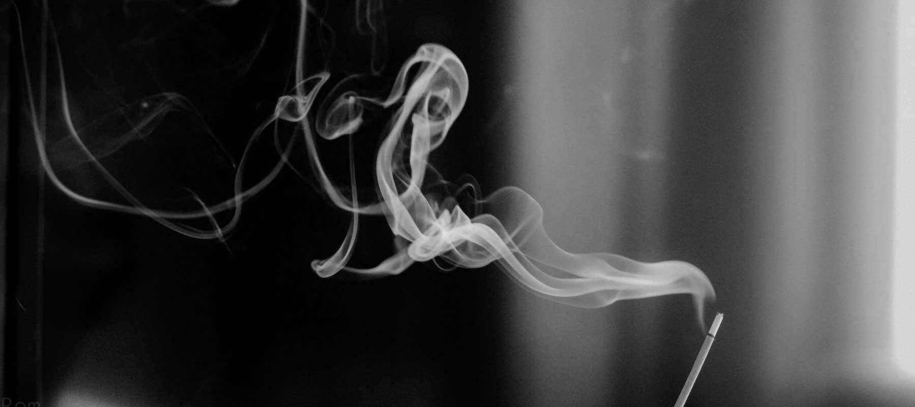 Brush Strokes By Claire Lune