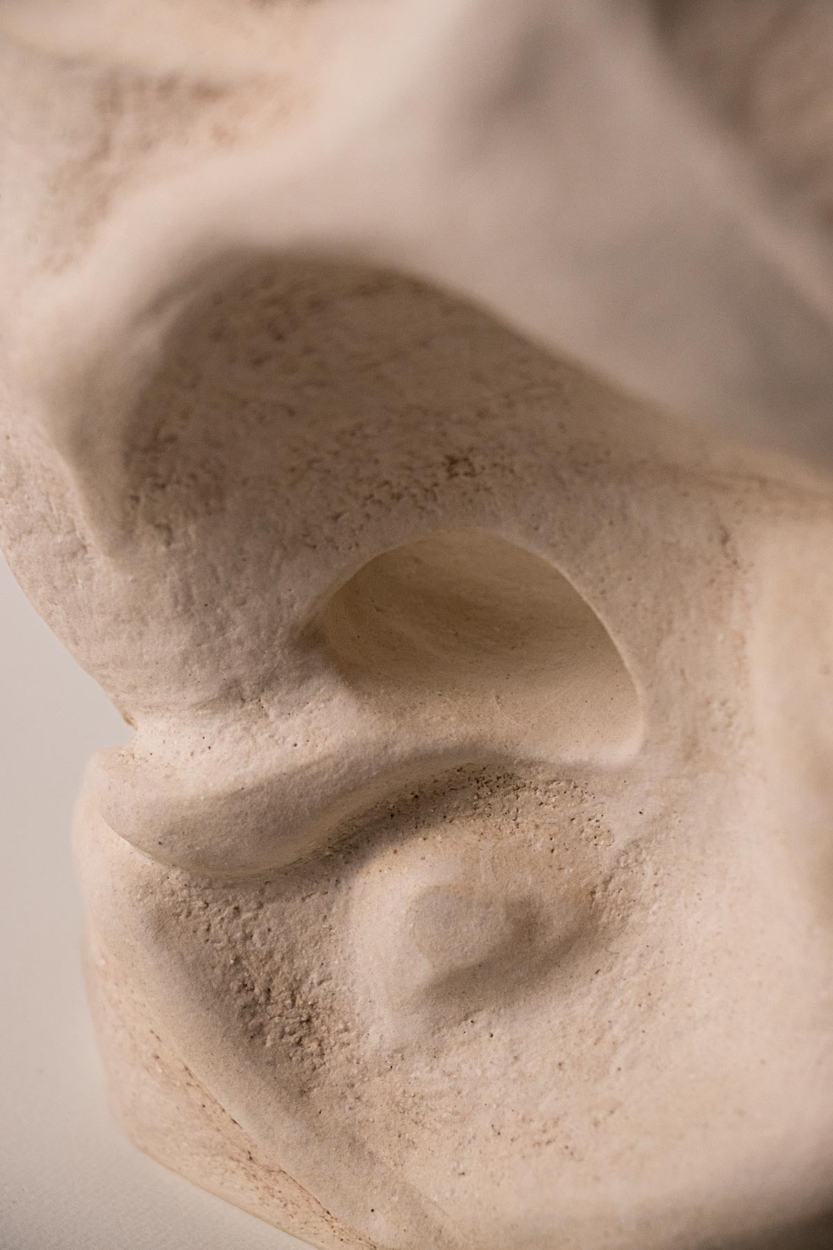 Close-up of surface detail. Textured surface. 